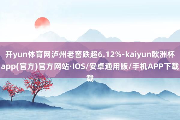 开yun体育网泸州老窖跌超6.12%-kaiyun欧洲杯app(官方)官方网站·IOS/安卓通用版/手机APP下载