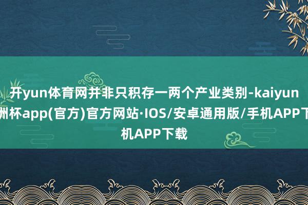 开yun体育网并非只积存一两个产业类别-kaiyun欧洲杯app(官方)官方网站·IOS/安卓通用版/手机APP下载