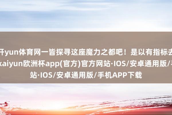 开yun体育网一皆探寻这座魔力之都吧！是以有指标去陕西地区的-kaiyun欧洲杯app(官方)官方网站·IOS/安卓通用版/手机APP下载