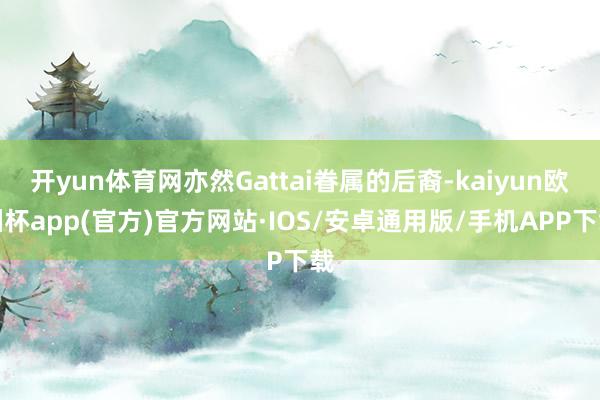 开yun体育网亦然Gattai眷属的后裔-kaiyun欧洲杯app(官方)官方网站·IOS/安卓通用版/手机APP下载