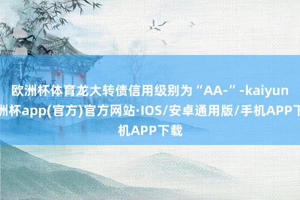 欧洲杯体育龙大转债信用级别为“AA-”-kaiyun欧洲杯app(官方)官方网站·IOS/安卓通用版/手机APP下载