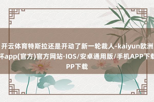 开云体育特斯拉还是开动了新一轮裁人-kaiyun欧洲杯app(官方)官方网站·IOS/安卓通用版/手机APP下载