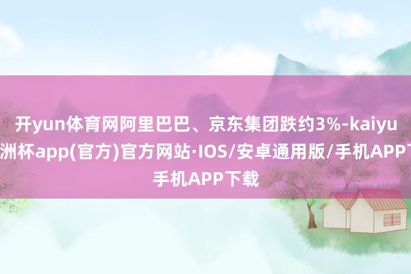 开yun体育网阿里巴巴、京东集团跌约3%-kaiyun欧洲杯app(官方)官方网站·IOS/安卓通用版/手机APP下载