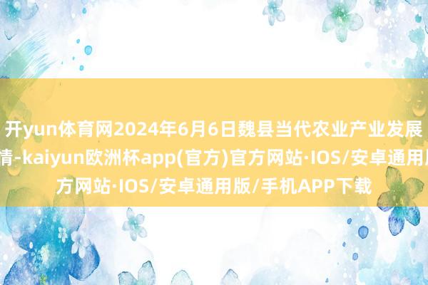 开yun体育网2024年6月6日魏县当代农业产业发展就业中心价钱行情-kaiyun欧洲杯app(官方)官方网站·IOS/安卓通用版/手机APP下载