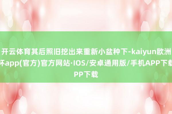 开云体育其后照旧挖出来重新小盆种下-kaiyun欧洲杯app(官方)官方网站·IOS/安卓通用版/手机APP下载