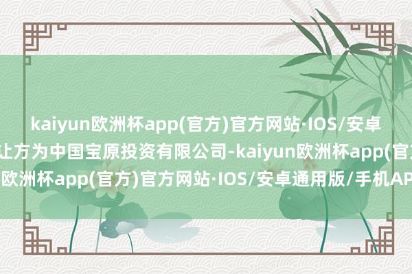 kaiyun欧洲杯app(官方)官方网站·IOS/安卓通用版/手机APP下载转让方为中国宝原投资有限公司-kaiyun欧洲杯app(官方)官方网站·IOS/安卓通用版/手机APP下载