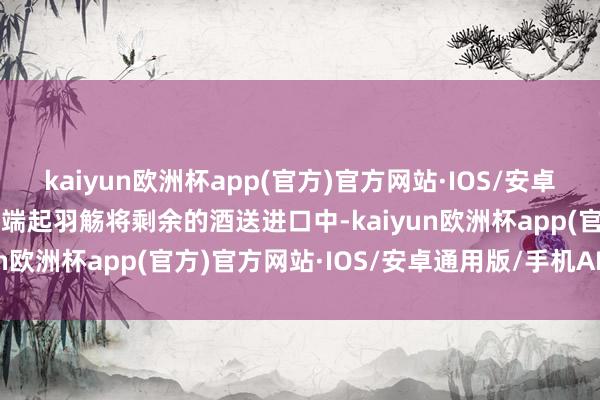 kaiyun欧洲杯app(官方)官方网站·IOS/安卓通用版/手机APP下载  端起羽觞将剩余的酒送进口中-kaiyun欧洲杯app(官方)官方网站·IOS/安卓通用版/手机APP下载