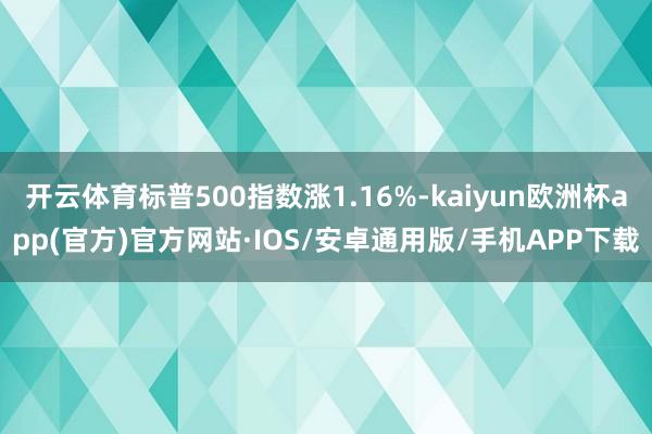 开云体育标普500指数涨1.16%-kaiyun欧洲杯app(官方)官方网站·IOS/安卓通用版/手机APP下载