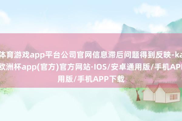 体育游戏app平台公司官网信息滞后问题得到反映-kaiyun欧洲杯app(官方)官方网站·IOS/安卓通用版/手机APP下载