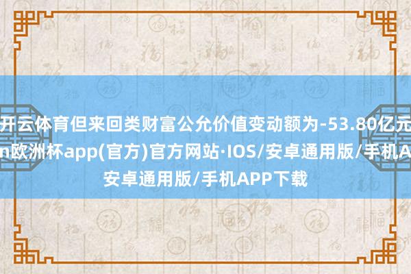 开云体育但来回类财富公允价值变动额为-53.80亿元-kaiyun欧洲杯app(官方)官方网站·IOS/安卓通用版/手机APP下载