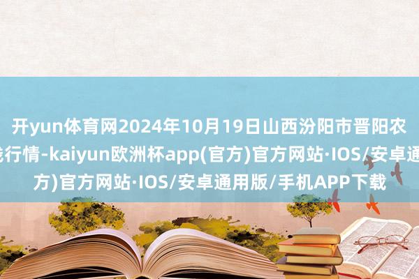 开yun体育网2024年10月19日山西汾阳市晋阳农副居品批发阛阓价钱行情-kaiyun欧洲杯app(官方)官方网站·IOS/安卓通用版/手机APP下载