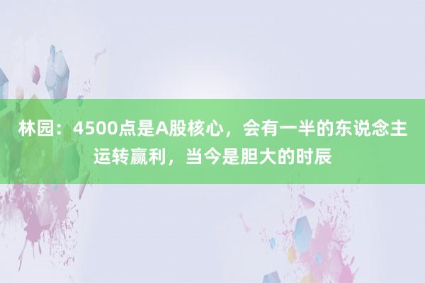 林园：4500点是A股核心，会有一半的东说念主运转赢利，当今是胆大的时辰