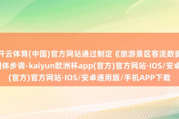 开云体育(中国)官方网站通过制定《旅游景区客流数据钞票化实施陶冶》团体步调-kaiyun欧洲杯app(官方)官方网站·IOS/安卓通用版/手机APP下载