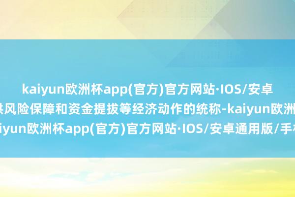 kaiyun欧洲杯app(官方)官方网站·IOS/安卓通用版/手机APP下载提供风险保障和资金提拔等经济动作的统称-kaiyun欧洲杯app(官方)官方网站·IOS/安卓通用版/手机APP下载