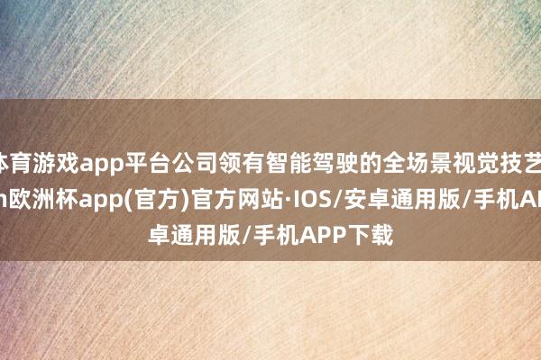 体育游戏app平台公司领有智能驾驶的全场景视觉技艺-kaiyun欧洲杯app(官方)官方网站·IOS/安卓通用版/手机APP下载