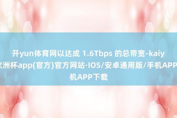 开yun体育网以达成 1.6Tbps 的总带宽-kaiyun欧洲杯app(官方)官方网站·IOS/安卓通用版/手机APP下载