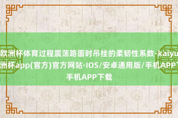 欧洲杯体育过程震荡路面时吊挂的柔韧性系数-kaiyun欧洲杯app(官方)官方网站·IOS/安卓通用版/手机APP下载