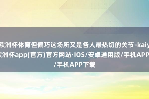 欧洲杯体育但偏巧这场所又是各人最热切的关节-kaiyun欧洲杯app(官方)官方网站·IOS/安卓通用版/手机APP下载