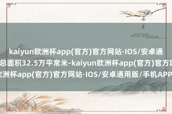 kaiyun欧洲杯app(官方)官方网站·IOS/安卓通用版/手机APP下载展览总面积32.5万平常米-kaiyun欧洲杯app(官方)官方网站·IOS/安卓通用版/手机APP下载