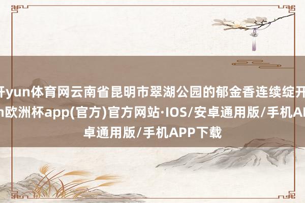 开yun体育网云南省昆明市翠湖公园的郁金香连续绽开-kaiyun欧洲杯app(官方)官方网站·IOS/安卓通用版/手机APP下载