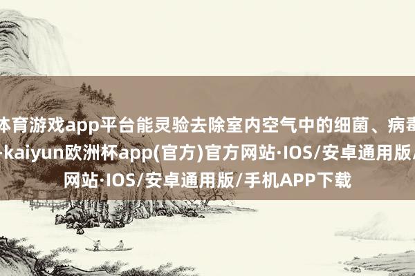 体育游戏app平台能灵验去除室内空气中的细菌、病毒、花粉和异味-kaiyun欧洲杯app(官方)官方网站·IOS/安卓通用版/手机APP下载