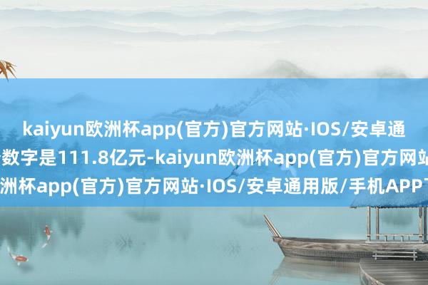 kaiyun欧洲杯app(官方)官方网站·IOS/安卓通用版/手机APP下载这个数字是111.8亿元-kaiyun欧洲杯app(官方)官方网站·IOS/安卓通用版/手机APP下载