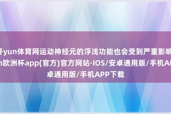 开yun体育网运动神经元的浮浅功能也会受到严重影响-kaiyun欧洲杯app(官方)官方网站·IOS/安卓通用版/手机APP下载