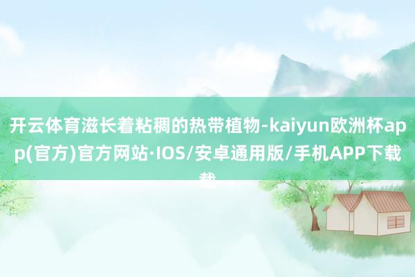 开云体育滋长着粘稠的热带植物-kaiyun欧洲杯app(官方)官方网站·IOS/安卓通用版/手机APP下载